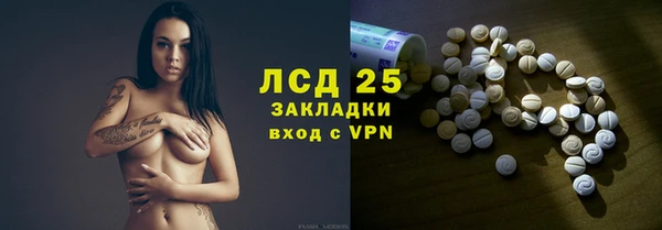 ПСИЛОЦИБИНОВЫЕ ГРИБЫ Алексеевка