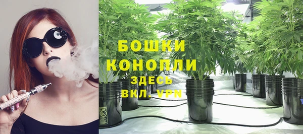 молекула духа Красноперекопск