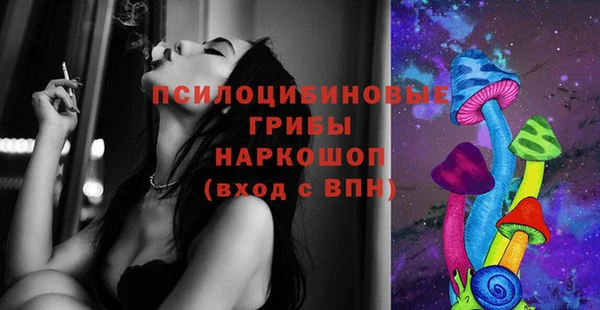 ПСИЛОЦИБИНОВЫЕ ГРИБЫ Алексин