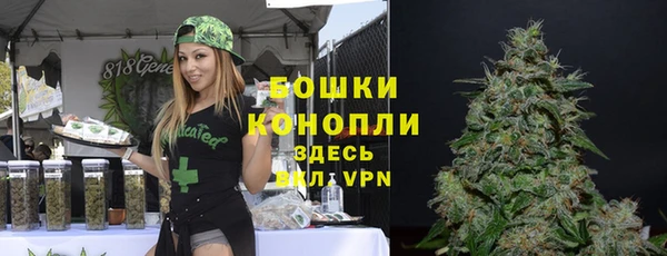 крисы Армянск