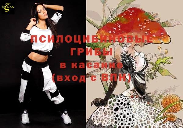 ПСИЛОЦИБИНОВЫЕ ГРИБЫ Алексеевка